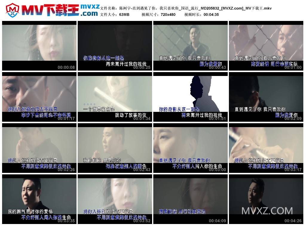 陈柯宇-直到遇见了你，我只喜欢你_国语_流行_MD205832